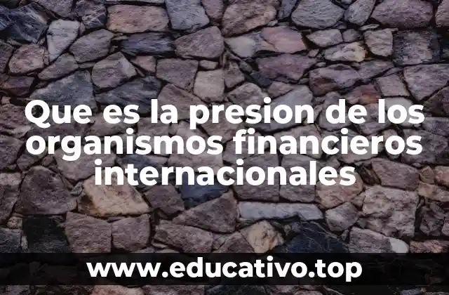 Que es la presion de los organismos financieros internacionales