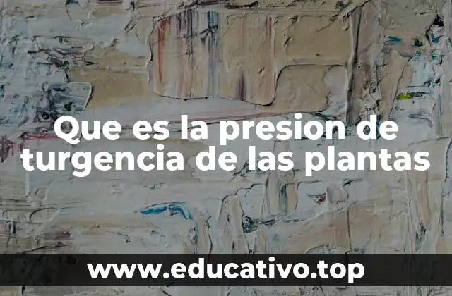 El papel de la presión en la fisiología vegetal