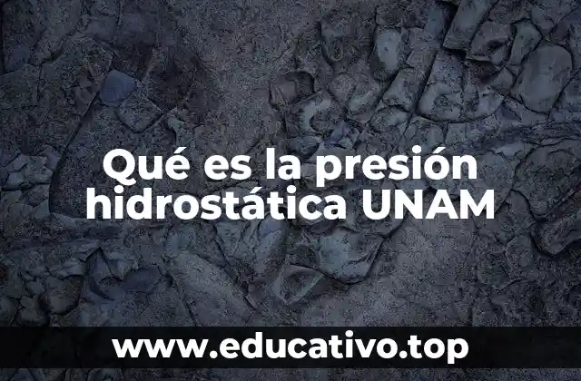 Qué es la presión hidrostática UNAM