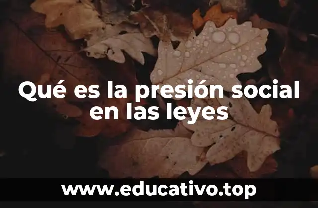 Qué es la presión social en las leyes