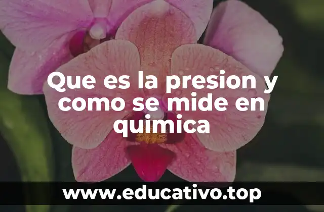 Que es la presion y como se mide en quimica