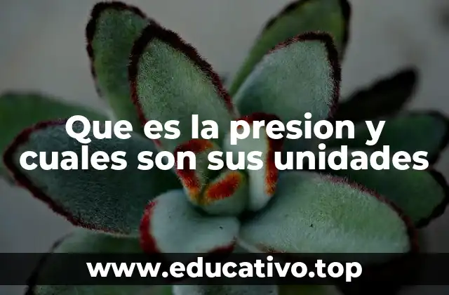 Que es la presion y cuales son sus unidades