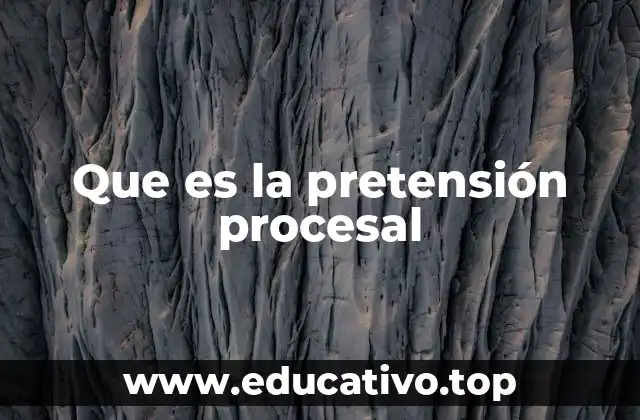 Que es la pretensión procesal