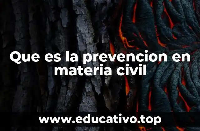 Que es la prevencion en materia civil