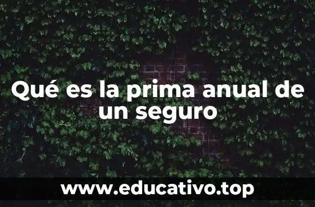 Qué es la prima anual de un seguro