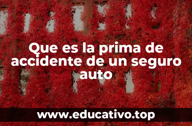 Que es la prima de accidente de un seguro auto