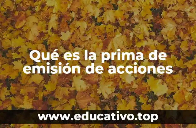 Qué es la prima de emisión de acciones