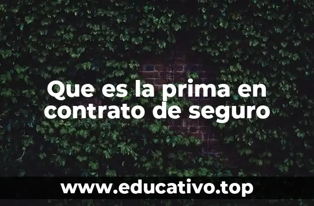Que es la prima en contrato de seguro