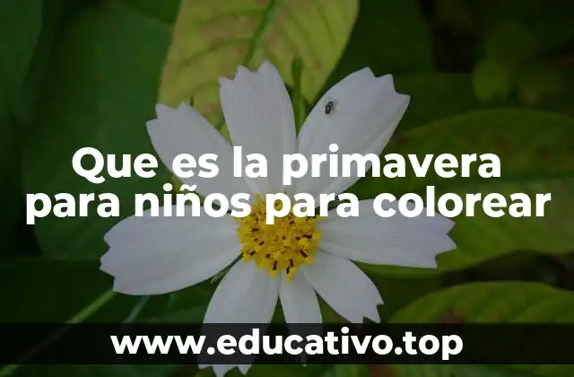 Que es la primavera para niños para colorear