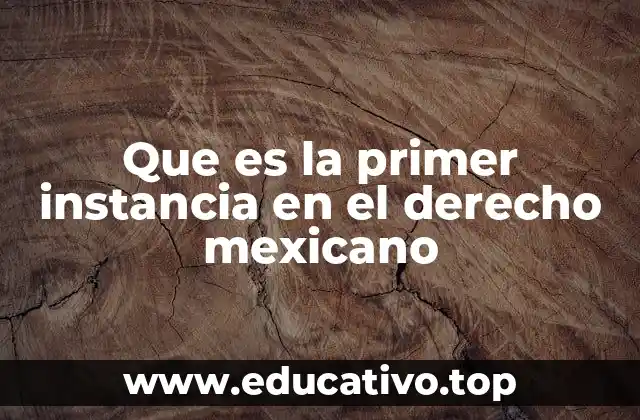 Que es la primer instancia en el derecho mexicano