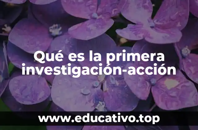 Qué es la primera investigación-acción