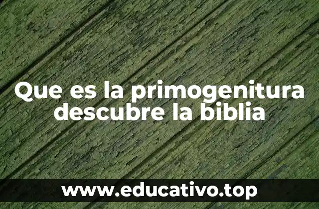 Que es la primogenitura descubre la biblia