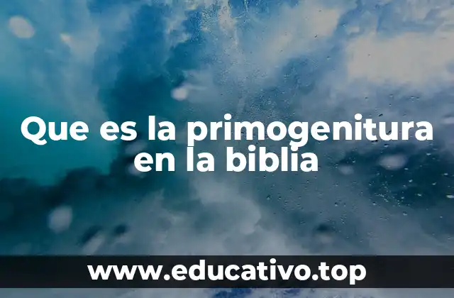Que es la primogenitura en la biblia