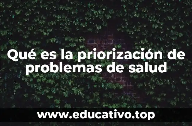 Qué es la priorización de problemas de salud