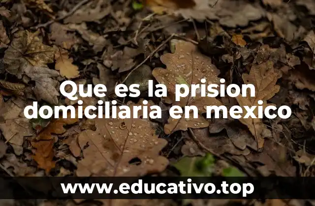 La evolución del sistema de internamiento penal en México