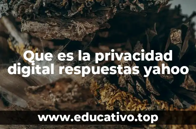 Que es la privacidad digital respuestas yahoo