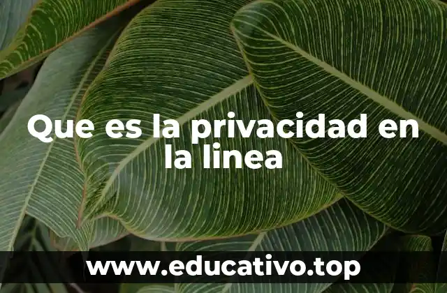 Que es la privacidad en la linea