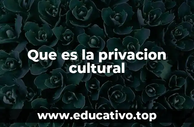 Que es la privacion cultural