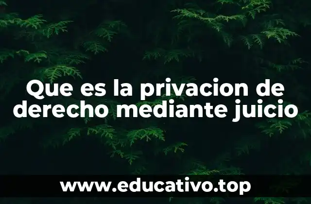 Que es la privacion de derecho mediante juicio