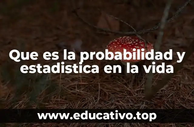 Que es la probabilidad y estadistica en la vida