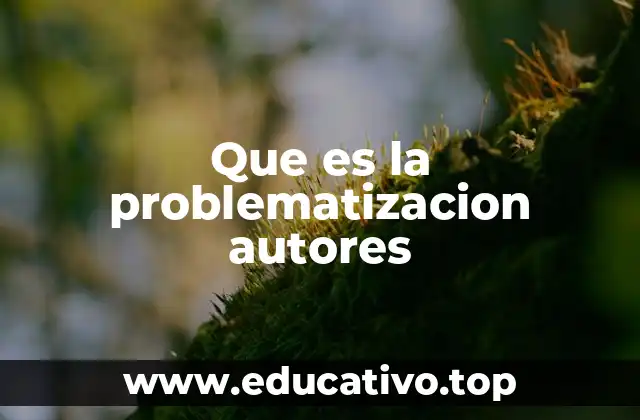 Que es la problematizacion autores