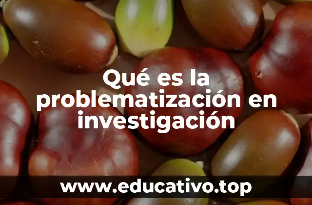 Qué es la problematización en investigación