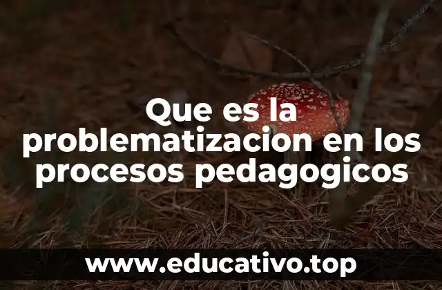 Que es la problematizacion en los procesos pedagogicos
