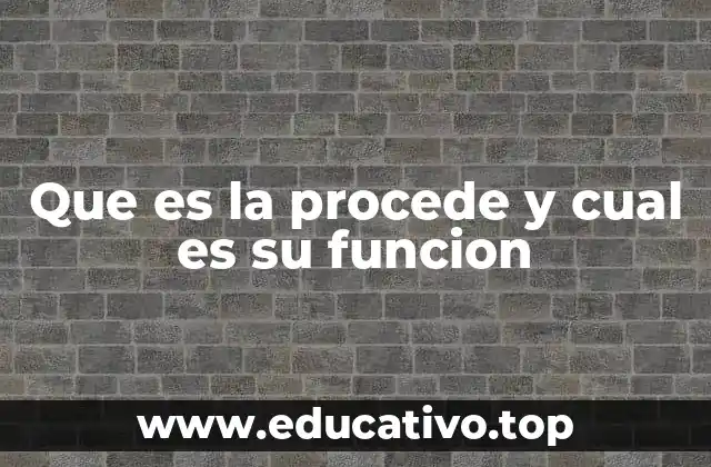Que es la procede y cual es su funcion
