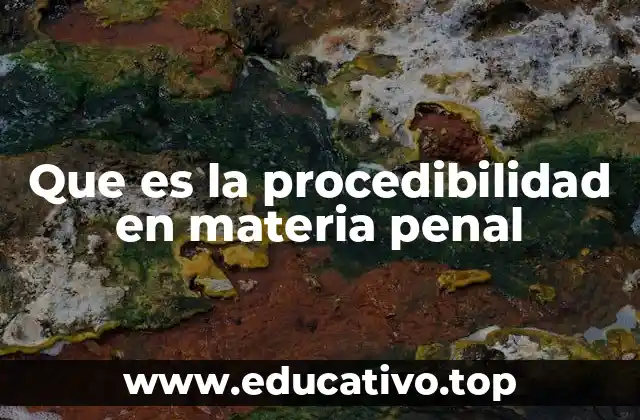 Que es la procedibilidad en materia penal