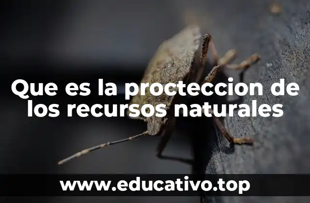 Que es la procteccion de los recursos naturales