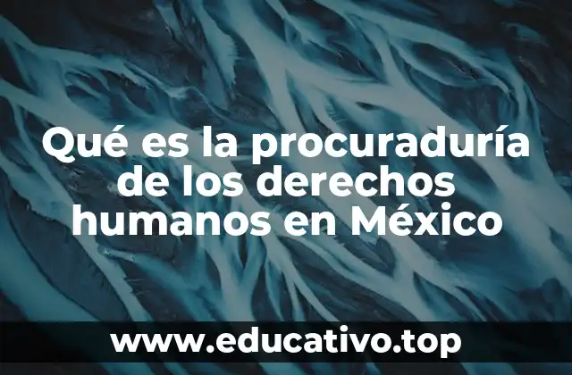 Qué es la procuraduría de los derechos humanos en México
