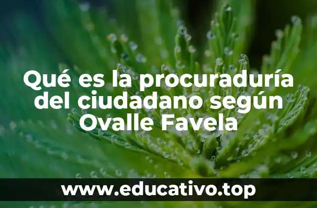 Qué es la procuraduría del ciudadano según Ovalle Favela