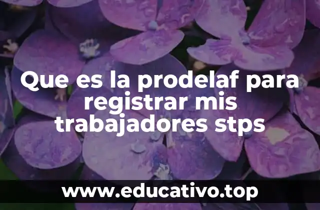 Que es la prodelaf para registrar mis trabajadores stps