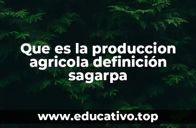 Que es la produccion agricola definición sagarpa