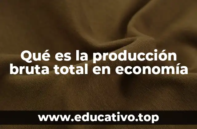 Qué es la producción bruta total en economía