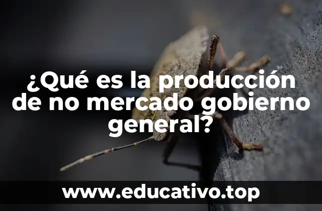¿Qué es la producción de no mercado gobierno general?