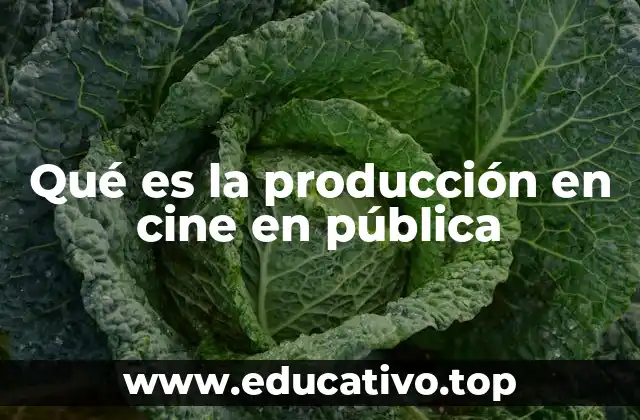 Qué es la producción en cine en pública
