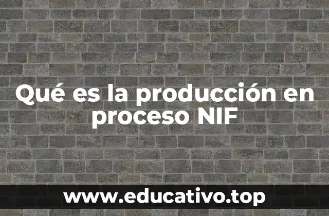 Qué es la producción en proceso NIF