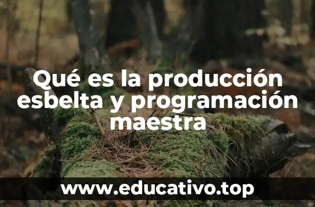 Qué es la producción esbelta y programación maestra