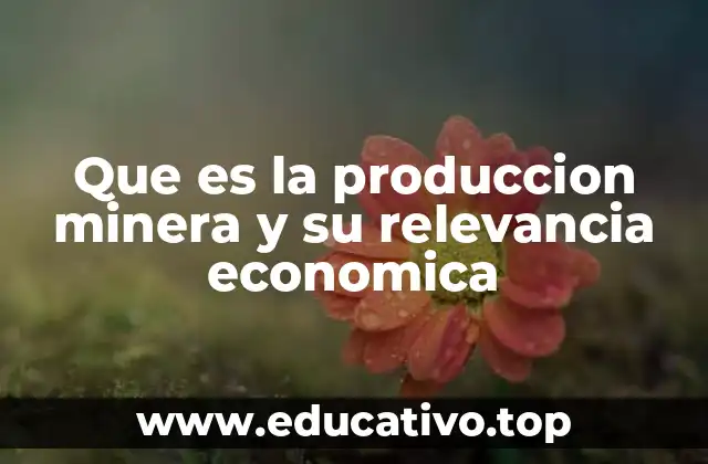 Que es la produccion minera y su relevancia economica