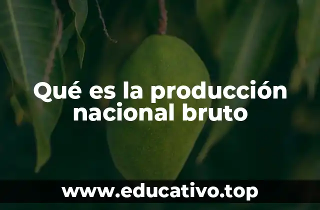 Qué es la producción nacional bruto