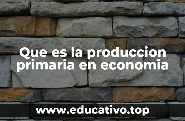 Que es la produccion primaria en economia