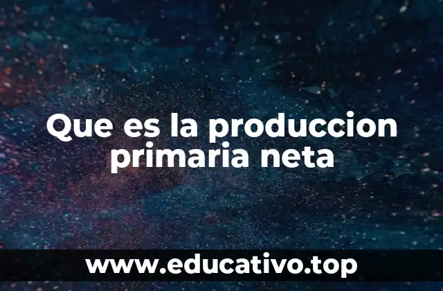 Que es la produccion primaria neta