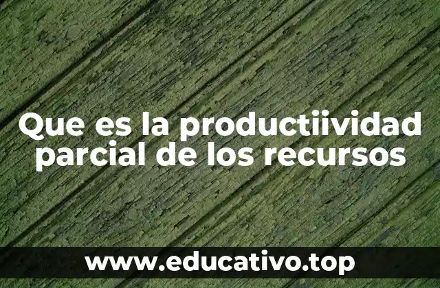 Que es la productiividad parcial de los recursos