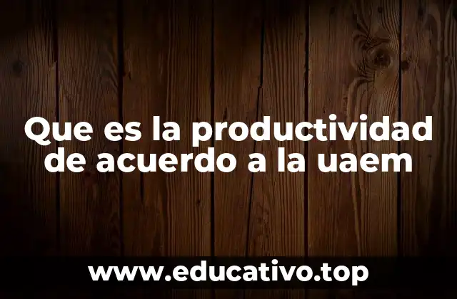 Que es la productividad de acuerdo a la uaem