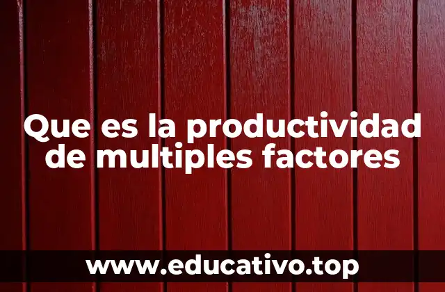 Que es la productividad de multiples factores