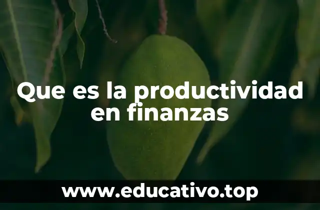Que es la productividad en finanzas