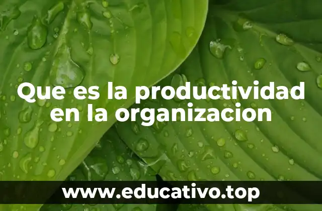 Que es la productividad en la organizacion