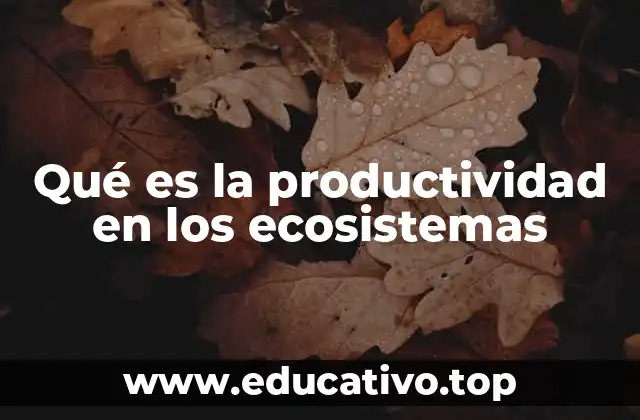 Qué es la productividad en los ecosistemas