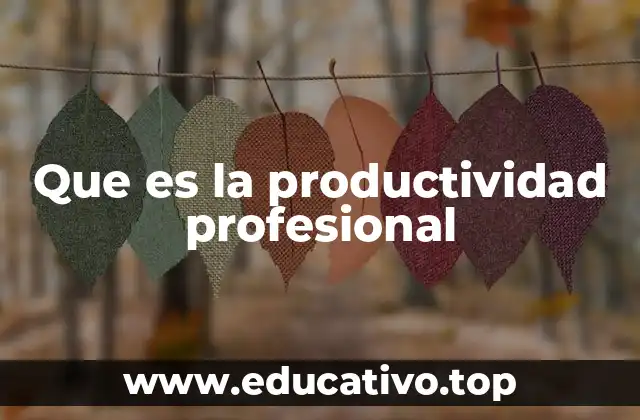 Que es la productividad profesional